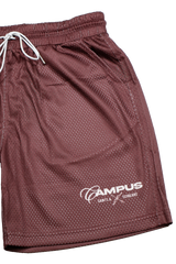 CAMPUS Scholar Shorts (c6-4)