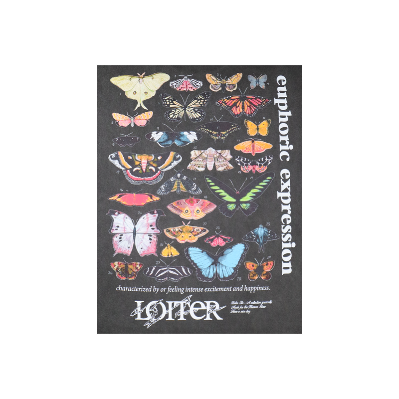 Loiter Euphoria Ultra Premium Vintage T-Shirt Black Wash (02044516B295S)