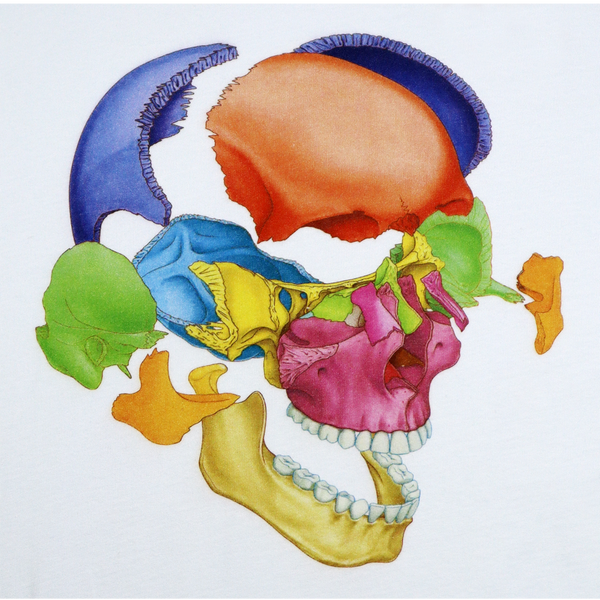 NEW MANNERS Anatomy Tee Delicate Blue