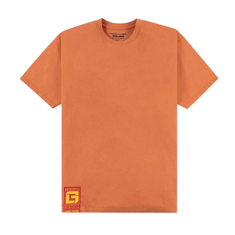 PAPER PLANES Intention It Heavyweight Tee 200266 GINGER